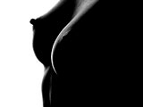 Escortbook