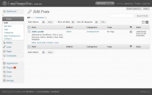 wordpress 2.7 posts excerpt