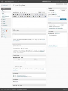 wordpress 2.7 post visual editor